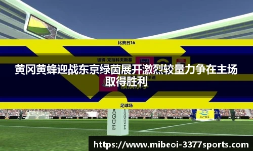 黄冈黄蜂迎战东京绿茵展开激烈较量力争在主场取得胜利